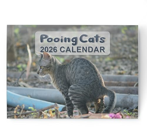 Rolig kalender 2026 kattbajsning – månad att visa A3 när den är öppen – hängande planerare i Storbritannien med stygga kattfoton – humoristisk present till familj eller hemlig jultomte