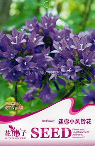 Blauer Garten A254 mit Glockenblumen und Mini-Windglocken