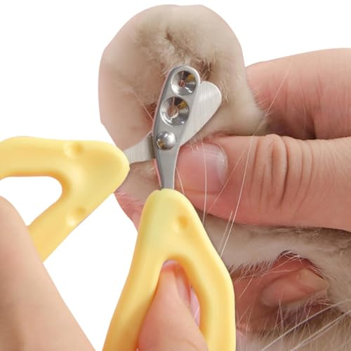 Katzenkrallenzange, kleine Katzen-Nagelknipser für Indoor-Katzen, Edelstahl, professionelles Fellpflege-Werkzeug, Anti-Bluten und Anti-Verletzungen, Nagelknipser für Katzen und Kätzchen