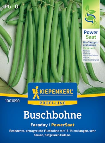 Kiepenkerl Buschbohnensamen Faraday 1001090, Gemüsesaat | Gemüsesamen für eine resistente Filetbohne mit 13-14 cm langen Hülsen, Inhalt für 5-7 qm, Wuchshöhe 50 cm, kompakt
