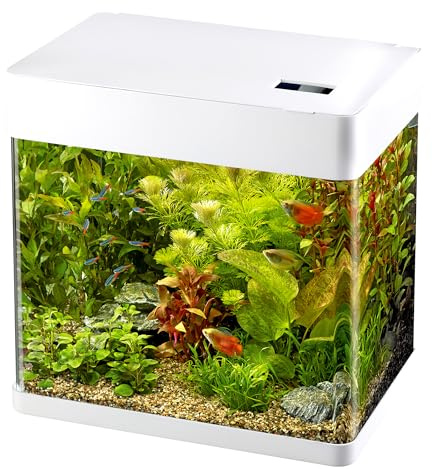 Superfish Panorama 35 LED Aquarium - 35 L - Wit - 38 x 26.5 x 39.5 cm