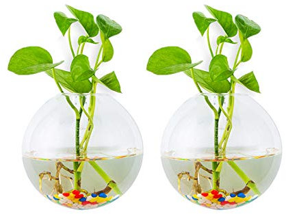 Fioriere Appese in Vetro 2 Pz Forma Sferica Vasi Piante Terrario Vaso Contenitore con 2.12 OZ Pietre Colorate Interni Esterni per La Casa Giardino Ufficio Matrimonio