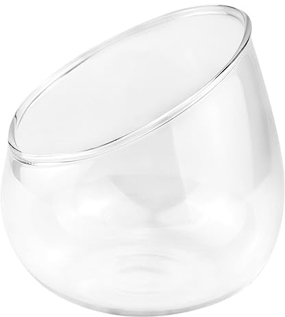 LNQ LUNIQI Glass Slant Cut Bowl Vase Clear Slanted Globe Terrarium Flower Vase Planter Table Centerpiece for Succulents, Cacti, Moss
