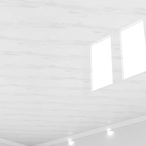 Dalles de Plafond Autocollantes en PVC pour Salle de Bain,Carreaux De Plafond À Décoller Et À Coller,Dalles de Plafond Suspendue en PVC imperméable,pour sous-Sol,Cuisine,Salle De Bain