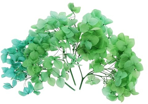 PATIKIL Flor De Hortensia Seca 10g Flores Naturales Prensadas Pétalos Reales De Hortensias para Manualidades con Resina DIY Decoración De Velas Floral Verde Degradado