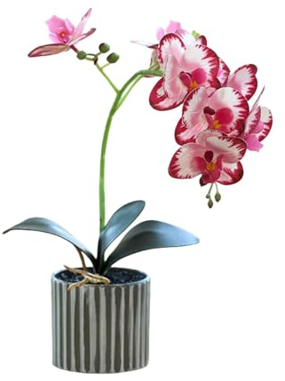 Générique Orchidée Artificielle à Huit Têtes en Pot Orchidée Artificielle Blanche en Pot pour Décoration de Salle de Bain et de Chambre (Rose Rouge)