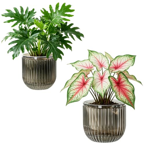 Calvalor Selbstbewässerungstopf Pflanzentopf Blumentopf übertopf, Ø 16.5/13.5cm 2er-Pack übertöpfe für Zimmerpflanzen Pflanztöpfe, Blumentöpfe Hydrokultur Topf, Blumenkübel Outdoor Pflanztopf