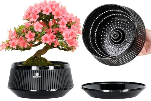 Meshpot Set di 2 vasi bonsai da 21 cm, con vassoio di drenaggio e flusso d'aria, in plastica, con potatura ad aria, grande vaso per piante da interno, ginepro, ficus, olmo cinese