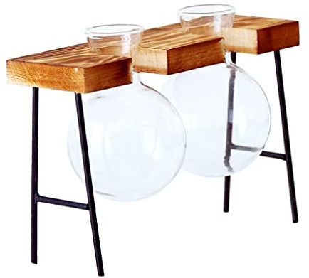 YEJBBUC Scaffale in legno per vasi e fioriere, scala, espositore per interni, 2 vasi