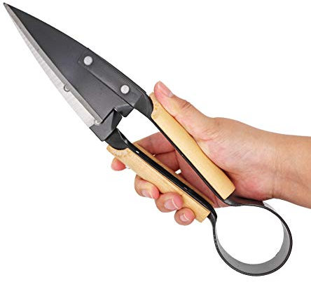 MUALROUS Cesoie per topiaria Cesoie per lana Attrezzi da giardino Erba Fiori Cesoia per siepe, Capra Pecora Mucca Cavallo Coniglio Cesoia Forbici per lana