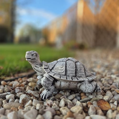 FABRIQ Stein Schildkröte 30 cm – 5,5 kg Steinguss – Erhobener Kopf – Wetterfest & frostsicher – Gartenfigur massiv