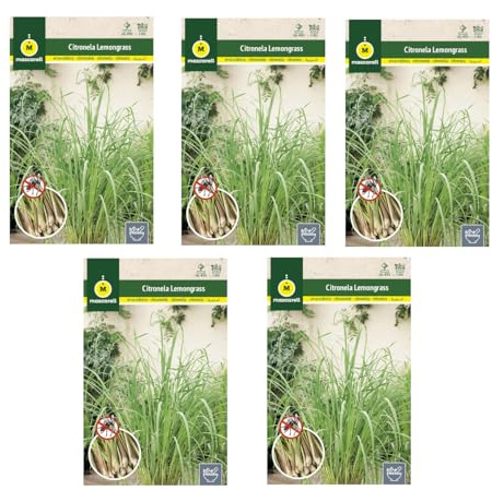 Citronella Pack 5 Sobres de Semillas de Plantas Antimosquitos Lemon Grass