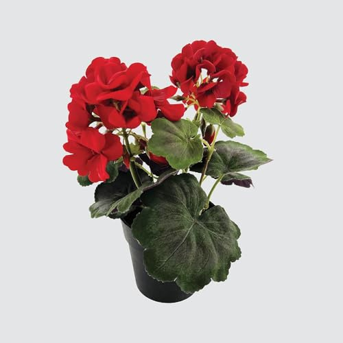 Small Artificial Red Geranium Plant in Pot, Maintenance Free Small Fake Houseplant, Faux Flower Decor, Artificial Potted Houseplant, Realistic Fake Red Flower Decoration