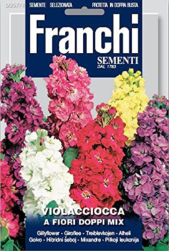 Semi Violacciocca a Fiori Doppi Mix Franchi Sementi 0,6g