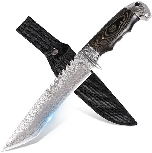 GER-SABER Couteau Outdoo 31cm – Lame Straight-Back avec Dos Dentelé et Motif Damas, Garde et Contrepoids Décorés, Poignée en Bois de Poule Exotique, Compagnon Mystérieux pour la Survie