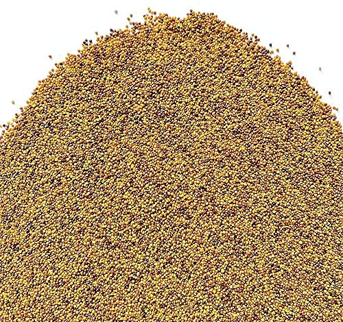 Il Contadino - Antiche Sementi | TRIFOGLIO BIANCO NANISSIMO con RHIZO | Tappeto con foglie molto piccole, Bassa manutenzione, Tagli poco frequenti, Abbastanza resistente all'ombreggiamento (250g)