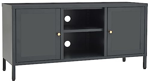Wenjingqi-336060 TV-Schrank, Stahl und Glas, Anthrazit, 105 x 35 x 52 cm