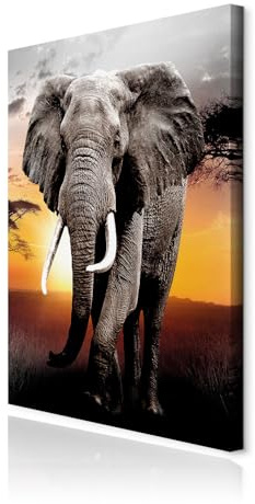 decomonkey Bilder Elefant 80x120 cm 1 Teilig Leinwandbilder Wandbild Afrika | Strukturleinwand, Holzkeilrahmen, Bild auf Leinwand, Kunstdruck, Wanddeko, Wohnzimmer, Wanddekoration, Tiere