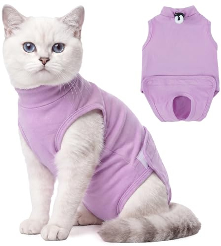 Hjyokuso Kattbody efter Op