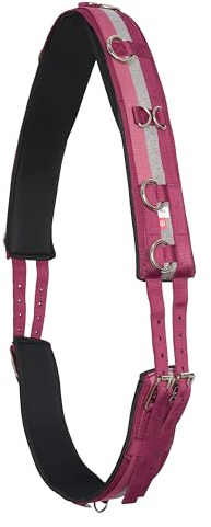 Imperial Riding Longiergurt „IRH Deluxe“, Polyester mit Neoprenfütterung und Metallringen, Rose-Bordeaux-Silber, Cob