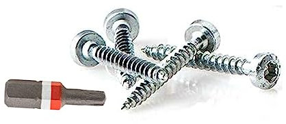 PH Holzschraube ASSY | CS Stahl verzinkt | Panhead RW | Halbrundkopf | Linsenkopf | 5 x 20 Vollgewinde | 500 Stück | mit passendem BIT