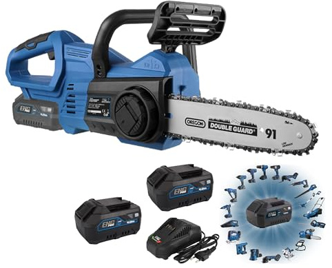 ENG PRO Motosega a batteria per potatura| Linea Professionale a Batteria ONE4ALL| Elettrosega portatile | Lunghezza Barra lama 10” (250 mm) | 2 Batterie 4.0 Ah