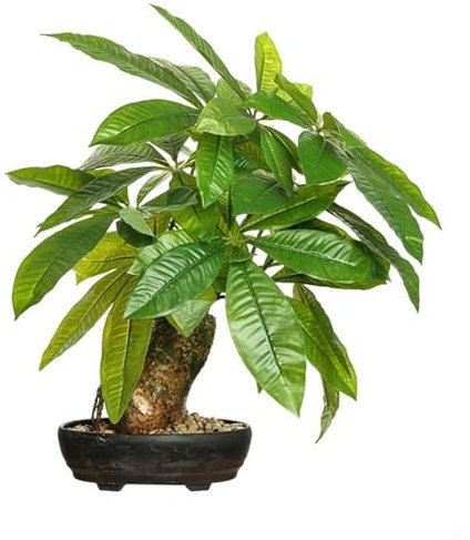 WlP Simulierte Grüne Bonsai-Glücksbaumpflanze Blumenpflanze for Den Innenbereich Zuhause Wohnzimmer Kleine Topfpflanze 17 Zoll Künstlicher Geldbaum Gefälschte Dekorative Pflanze