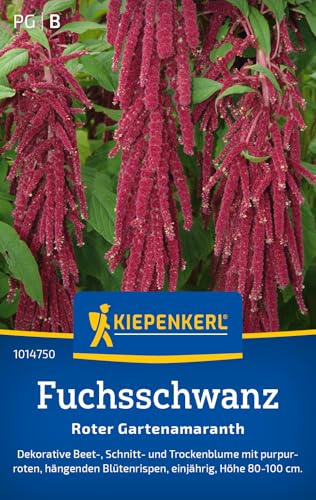Kiepenkerl Fuchsschwanzsamen Roter Gartenamaranth 1014750, Blumensaat | Höhe 80–100 cm, einjährig
