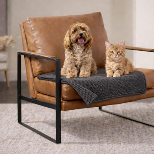 Dreamzie Hundedecke Wasserdicht Bett, Auto, Outdoor 63x88cm - Reversible und Maschinenwaschbar Hundedecke Sofa aus Sherpa Fleece - Dunkelgrau