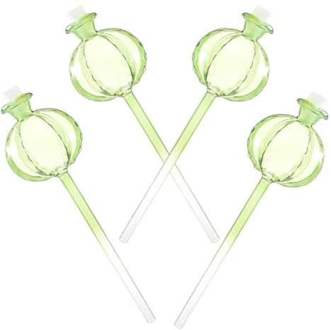 BIUDECO Lot de 4 Globes D’arrosage Automatique en Verre Transparent de Cactus, Système D’Irrigation pour Plantes D’intérieur, Pics D’Eau Pratiques pour Pots et Jardinières, Arrosage