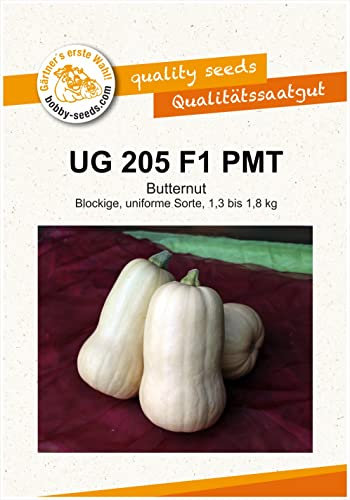Kürbissamen UG 205 F1 Portion