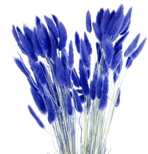 QUARKZMAN 120 Stück Natürlicher Kaninchenhasen Schwanz Getrocknete Blumen 18 Mini Pampasgras Lagurus Ovatus Bündel für Blumendekorationen bei Hochzeiten Weihnachten, Hellblau