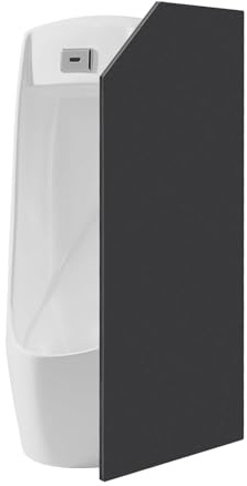 Duoruameng Séparateur d'urinoir mural 40 x 90 cm pour WC Noir