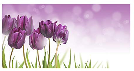 Tulup Picture Wall Art 100x50cm Image Printed Acryl Decorative Wall Picture Plastic/Acrylic Glass for Kitchen & Living Room Fillet tulips