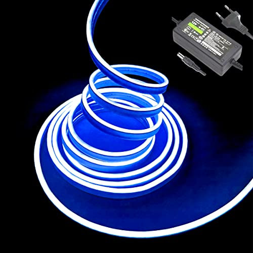 Balabaxer Striscia LED blu neon 16,4 piedi/5 m 12 V DC 600 SMD2835 LED tubo luminoso impermeabile per interni ed esterni decorazione della casa (con alimentatore di rete)