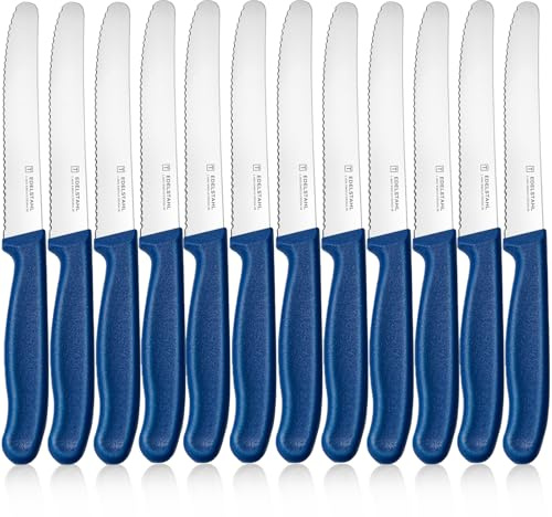 targzier Frühstücksmesser 12 Stück,Wellenschliff,Blau Vespermesser | 23cm Brötchenmesser,Scharf Edelstahl Klinge Messer Set,Tomatenmesser mit Plastik Griffe,Spülmaschinenfest Brotzeitmesser