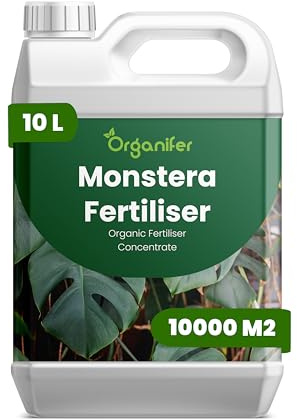 Engrais liquide organique 10L pour Monstera – croissance robuste et racines fortes – Organifer