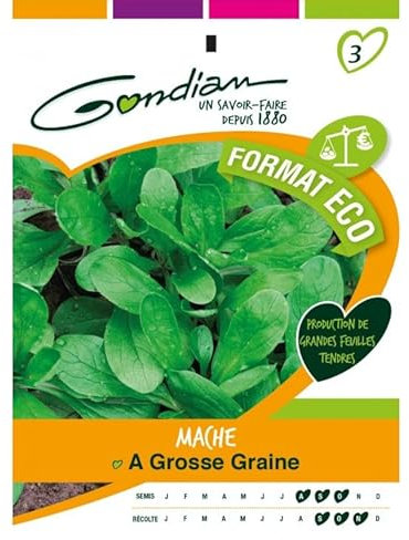 Gondian - Mache a Grosse Graine