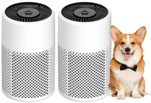 2 Pack Air Purifiers for Bedroom Home, True HEPA Filter for Smoke, White
