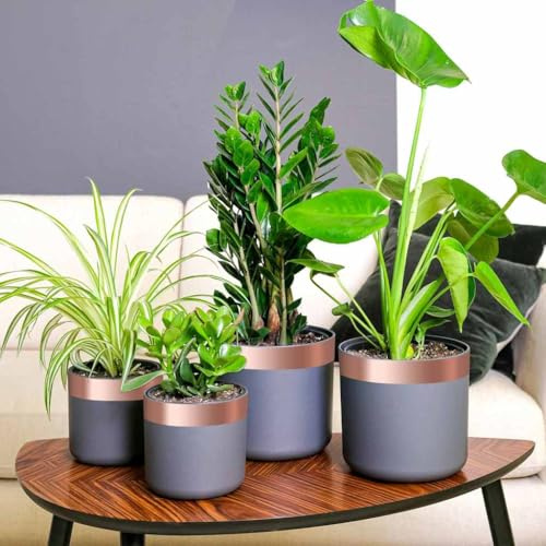 GeenYuu Nastro di rame, 6 pezzi, 50 mm x 20 m, biadesivo, con adesivo forte, per giardino, piante, repellente per lumache, versatile, flessibile, per prato, albero da frutto, verdura, serra