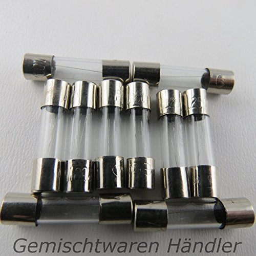 generisch 10 Stück Feinsicherung Glassicherung Flink 20mm 10 A Sicherungen 10A