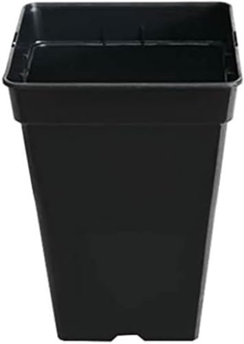 GROWMANIA Pack 10 Macetas Cuadradas para Plantas Negra 11L - Diez Maceteros Plástico para Flores 23,5x23,5x28 cm - Base 17x17 cm