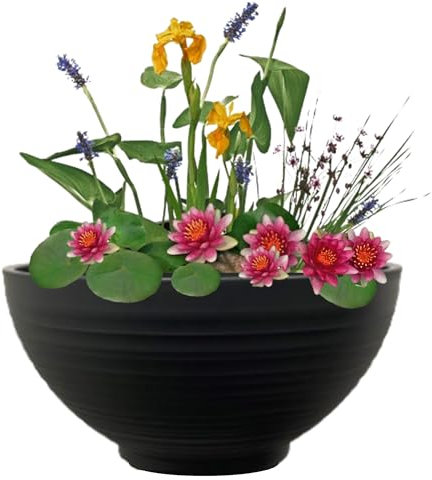 vdvelde.com - Mini Teich Rot - - Terrasse Teichschale - 15 Pflanzen + Zubehör - Kunststoffschale Ø40xH20cm