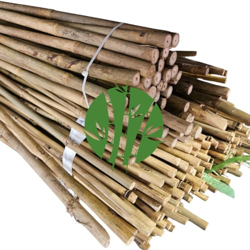 Set di 25 Tutori in Bambù Naturale – Pali per Pomodori, Sostegni per Piante da Interno ed Esterno – Bastoni per Orto e Giardinaggio – Lunghezze da 90 a 240 cm (H cm 120 X Ø mm 14-16)