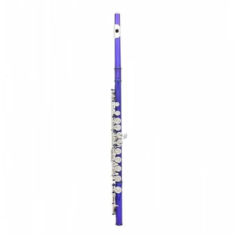 Professionelle Flöte mit 16 Löchern C-Taste Flöte Musikinstrument Geschenk