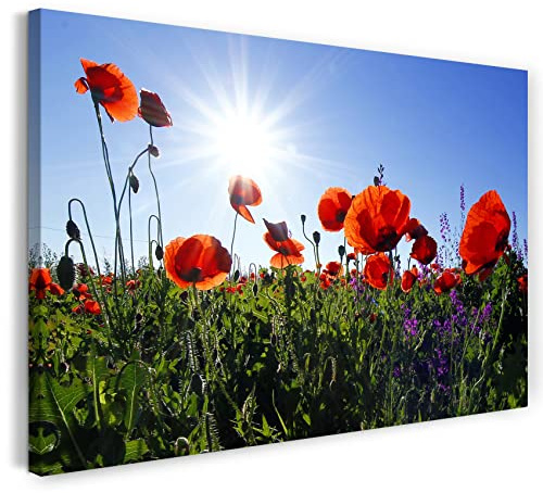Printed Paintings Leinwand (100x70cm): Blumenbilder Mohnblume Mohnblumen-Feld Sonne Links Oben