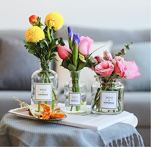 SHUILING Glass Bud Vase Set Nordic Clear Glass Bud Flowers Apothecary Jars Mini Desktop Table Vases Decorative Glass Bottles Centerpiece for Wedding Craft Art Living Room Home Decoration (3pcs)