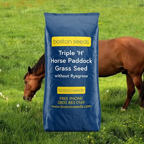 Boston Seeds Paddock Grass Seed (Rygrass Free - 1x 12.5kg Pack) - 'Triple H' Herbal Mix Without Ryegrass. 12.5kg Packs to Cover one Acre. Paddock Garden Seed Persistent in Dry Soils.