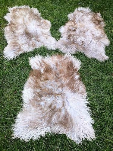 Provellus Orginal Island LAMMFELL SCHAFFELL HELL GRAU BRAUN Lange WEICHE Wolle NEU L - XXL (100-110 cm x 50-60 cm)
