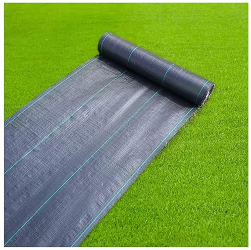 DIWAL Telo Anti Erbacce Tessuto Geotessile Pacciamatura Rotolo Telo Contro Erbacce Barriera Resistente UV per Orto, Prato, Giardino, Vialetti, Serre, Terrazze, Esterni(1m x 100m)